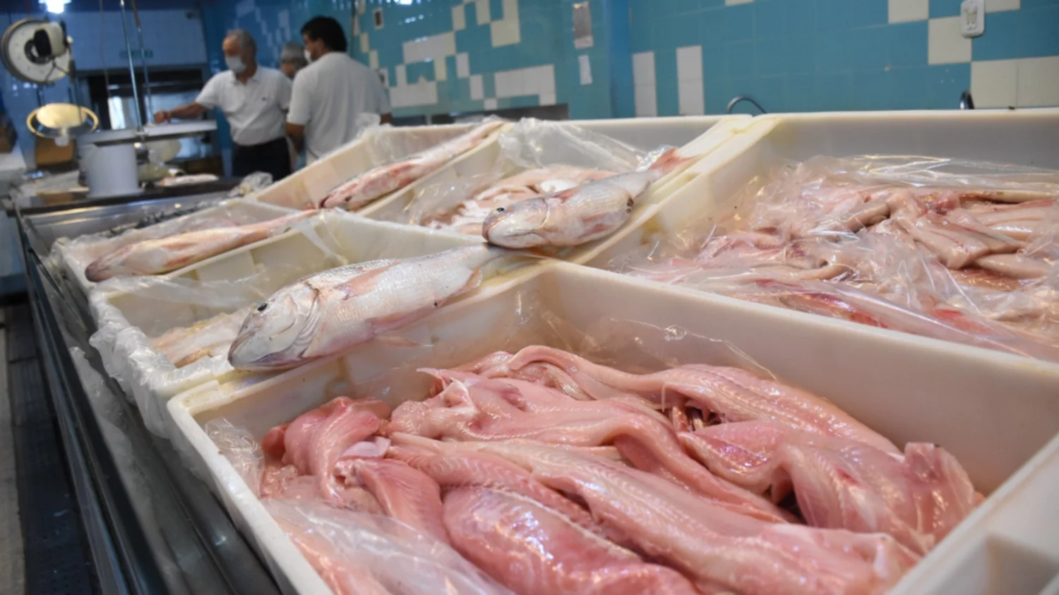 El pescado en San Juan llega con un 50% de aumento y no descartan nuevas  subas para Semana Santa