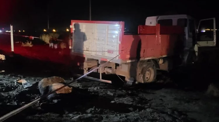 ruta sarmiento choque camion muerto caballo