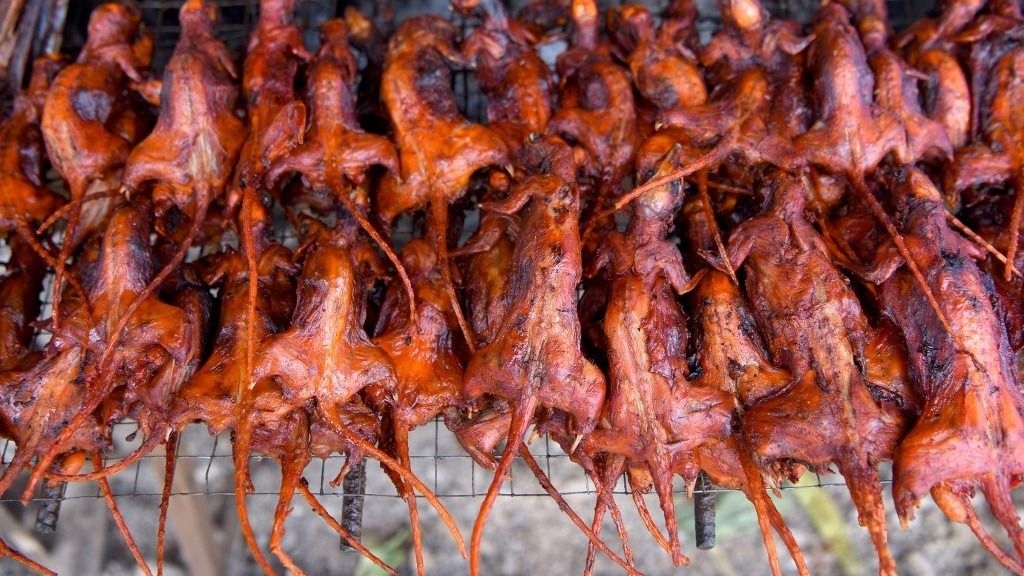 Aseguran que las ratas asadas son "deliciosas como el pollo"