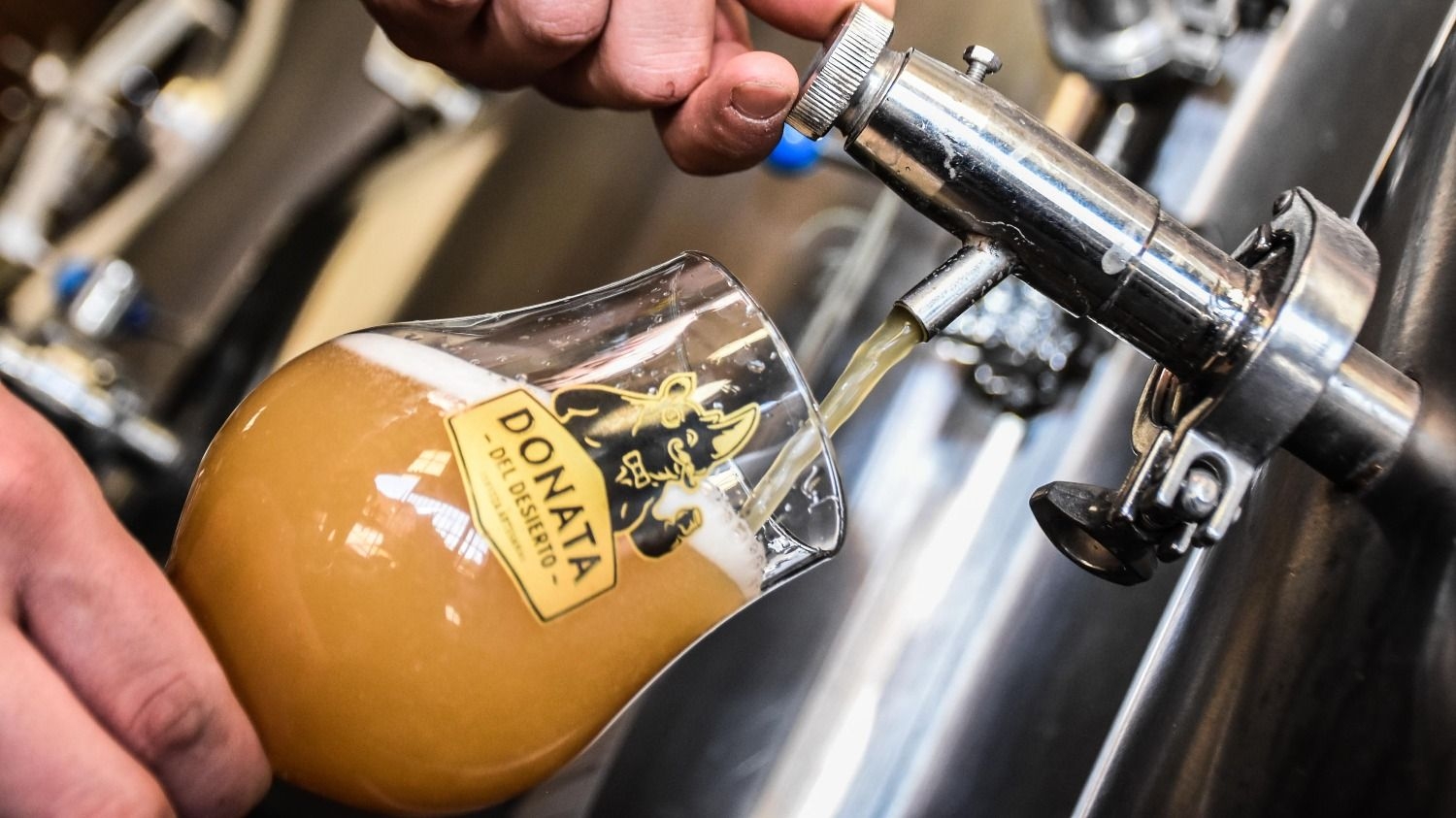 Cerveza "Donata del Desierto", es el emprendimiento en el Michael Meding apostó en San Juan