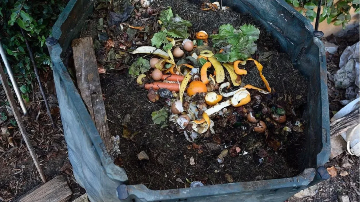 Cuida el medio ambiente con tu propia compostadora en el jardín