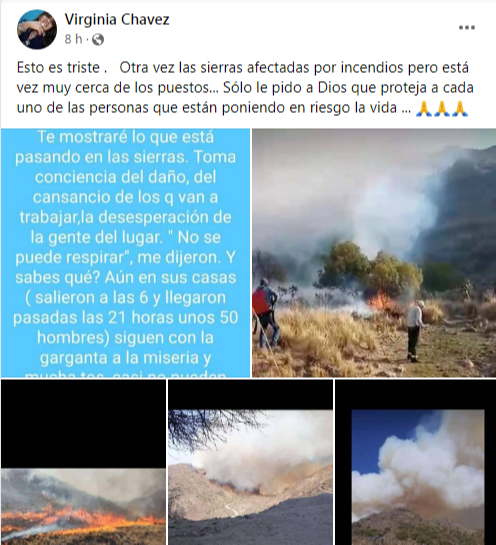 Incendios en Valle Fértil: las palabras de una sanjuanina para concientizar